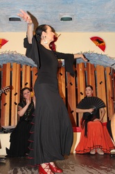 Un Corazón Flamenco performs traditional Flamenco Dance & Flamenco Music