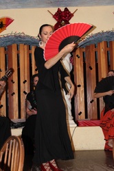 Un Corazón Flamenco performs traditional Flamenco Dance & Flamenco Music